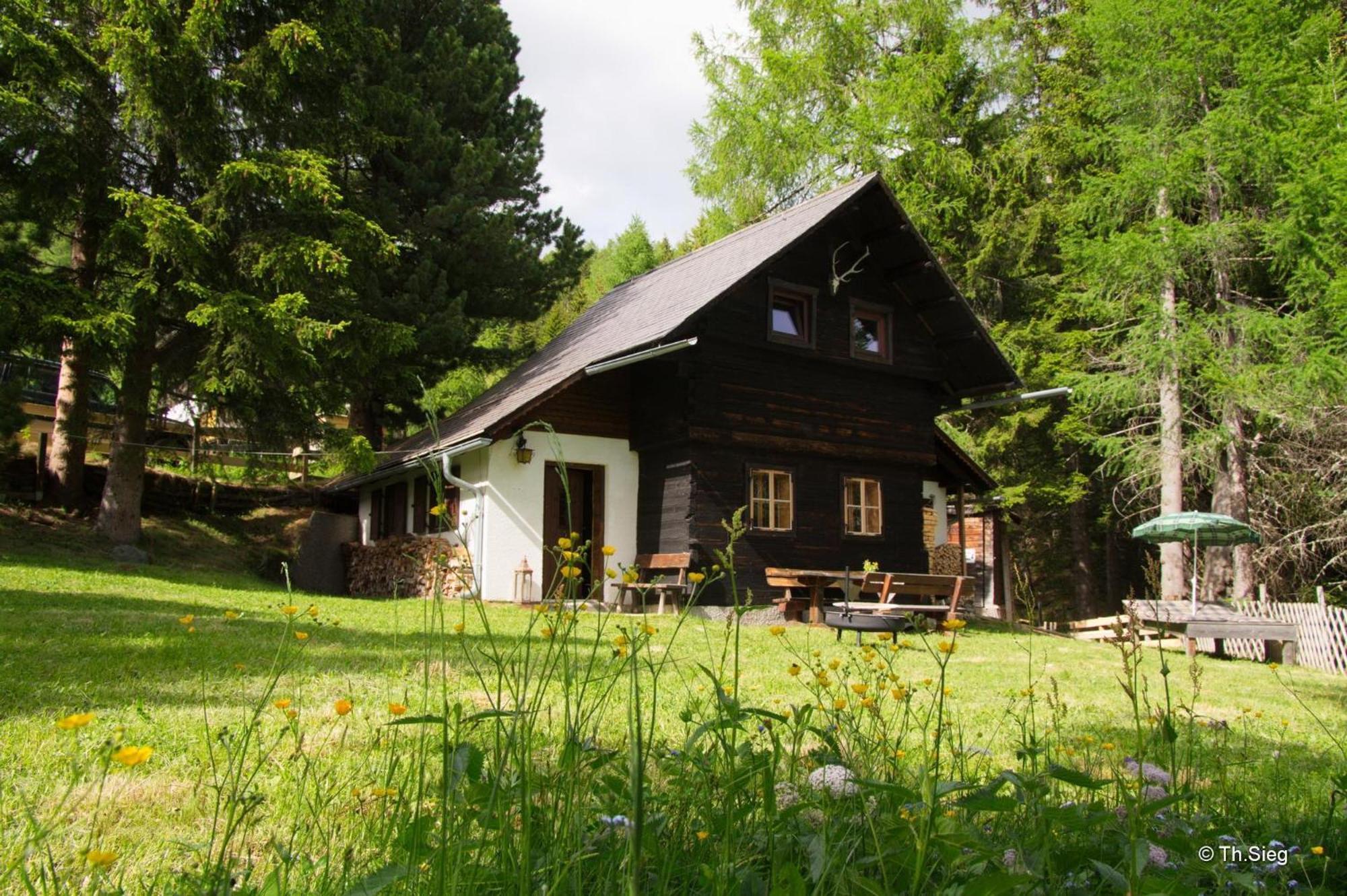 Falkert-Huette „Beim Almoehi" Villa Patergassen Екстериор снимка