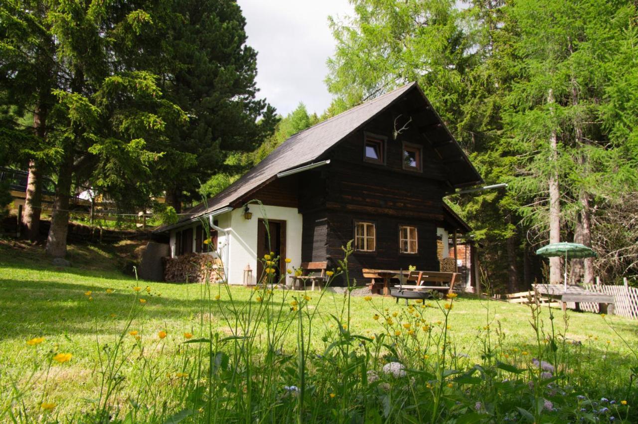 Falkert-Huette „Beim Almoehi" Villa Patergassen Екстериор снимка