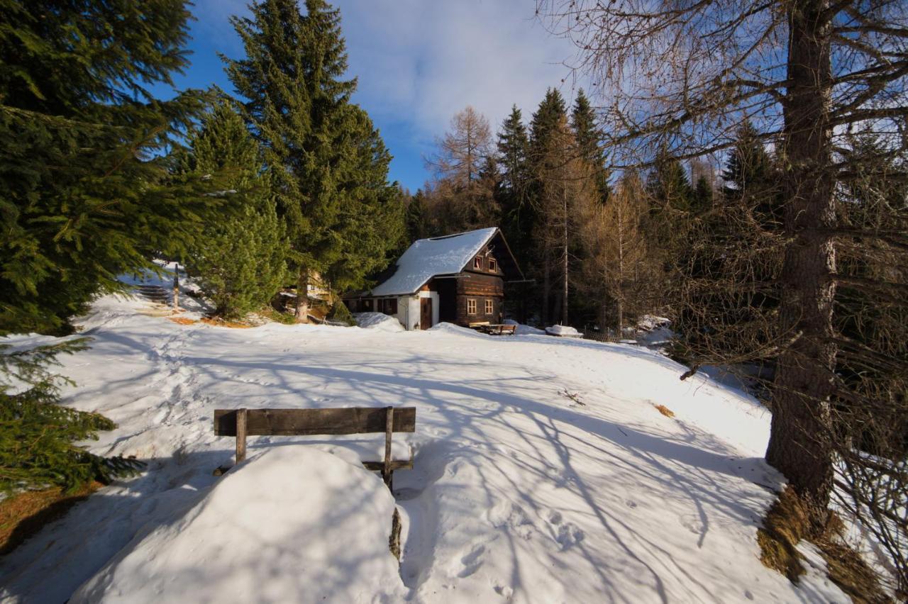 Falkert-Huette „Beim Almoehi" Villa Patergassen Екстериор снимка